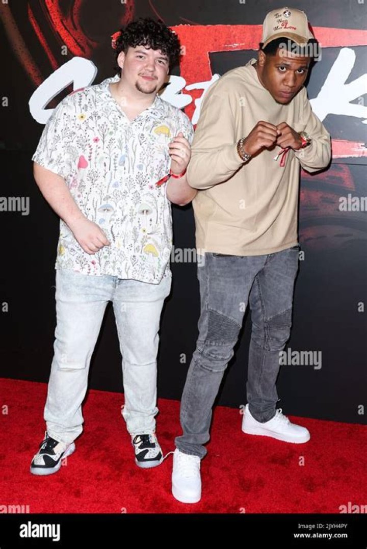 Aedin Mincks Bio (Wiki) 