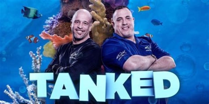 Agnes Wilczynski-Sales Estimator of Animal Planet's reality show, Tanked!