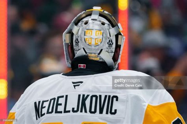 Alexander Nedeljkovic Bio (Wiki) 