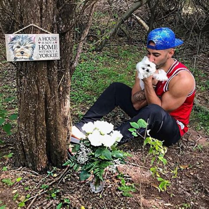 All About FouseyTube - American YouTuber