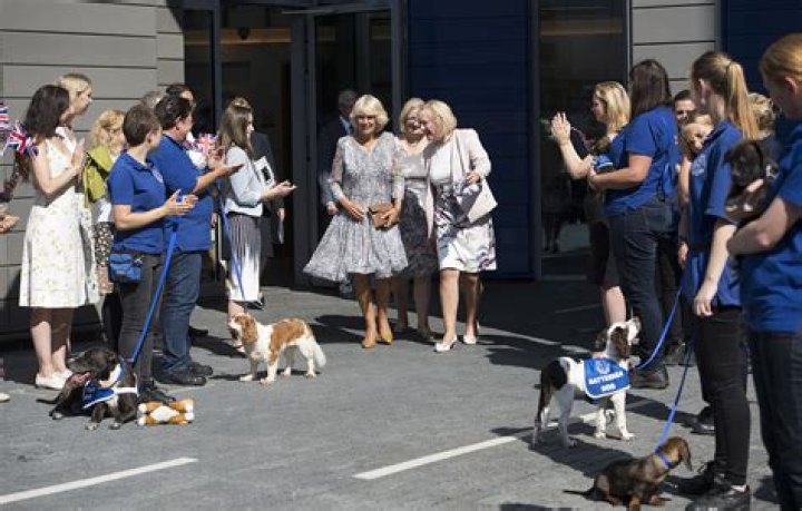 Amanda Burton Net Worth - Wiki, Age, Weight and Height, Relationships, Family, and More