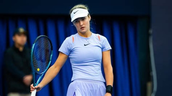 Australian tennis player Nick Kyrgios has split from his Russian girlfriend, tennis player Anna Kalinskaya!