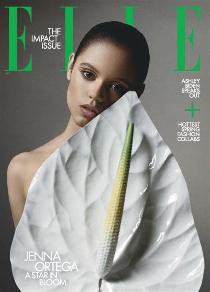 Bella Hadid scored her first-ever Elle (US) cover: amazing or underwhelming?