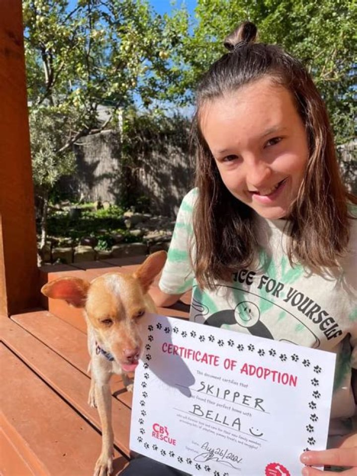 Bella Ramsey Pets - Celebrity Pets