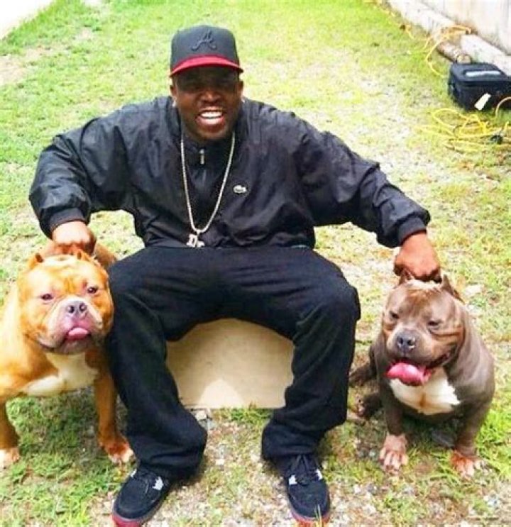 Big Boi Pets - Celebrity Pets
