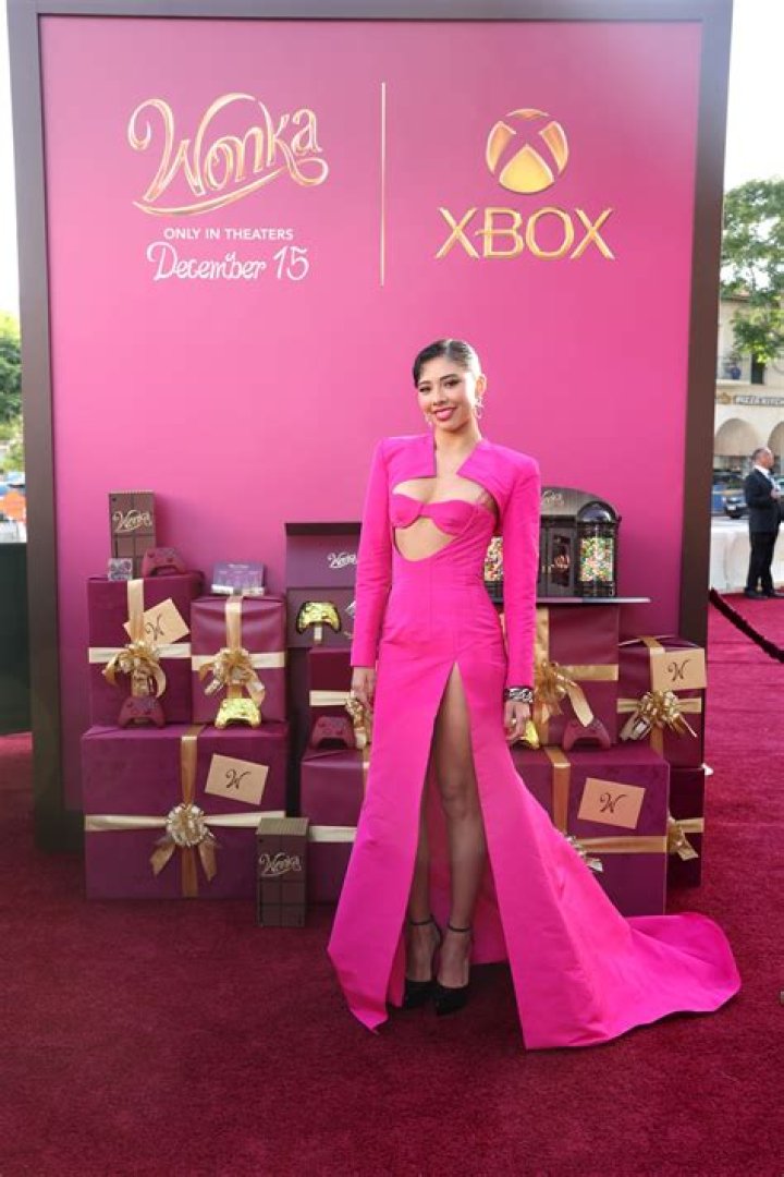 bitchy | Los Angeles Premiere of Warner Bros. “Wonka”