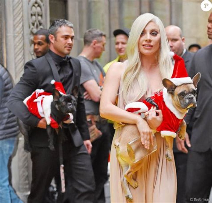 bitchy | Taylor Kinney and Lady Gaga carry their dogs Miss Asia and Koji dressed up as Santa’s as they are leaving ‘Billboard Awards’ at Cipriani in New York City