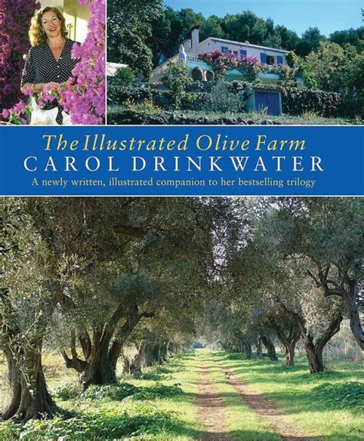 Carol Drinkwater Bio (Wiki) 
