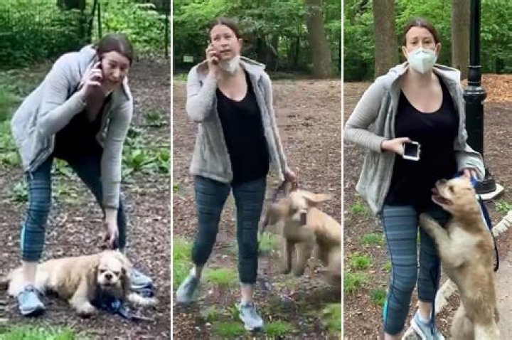 ‘Central Park Karen’ Amy Cooper has been charged with a misdemeanor