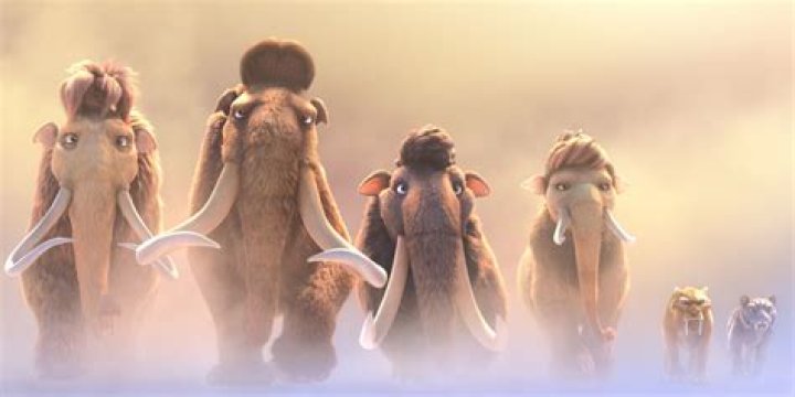 Chris Wedge Bio (Wiki) 