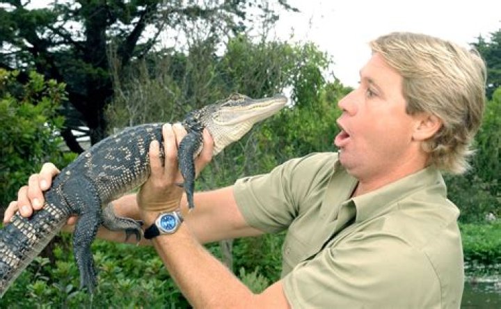 Crocodile Hunter Steve Irwin killed by a… stingray!