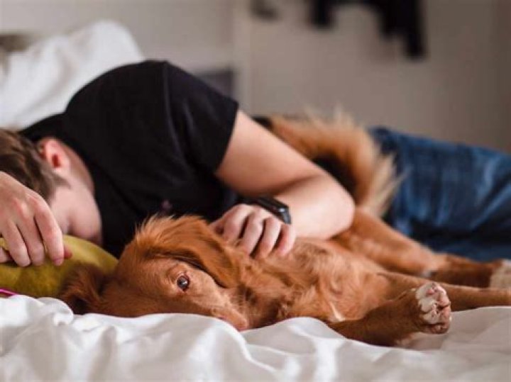 	Demi Moore pays over $700 a visit for her dog to get acupuncture	