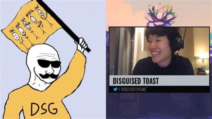 Disguised Toast Bio (Wiki) 