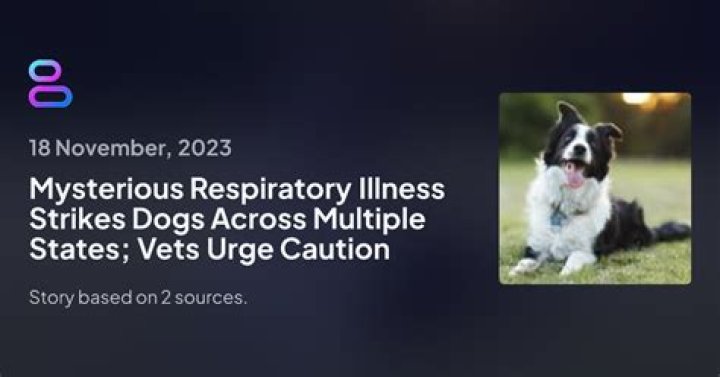 Dogs in several states are coming down with a mysterious respiratory illness