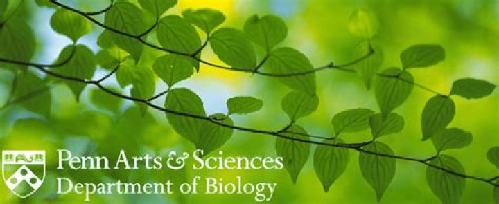 Dylan Penn Bio (Wiki) 