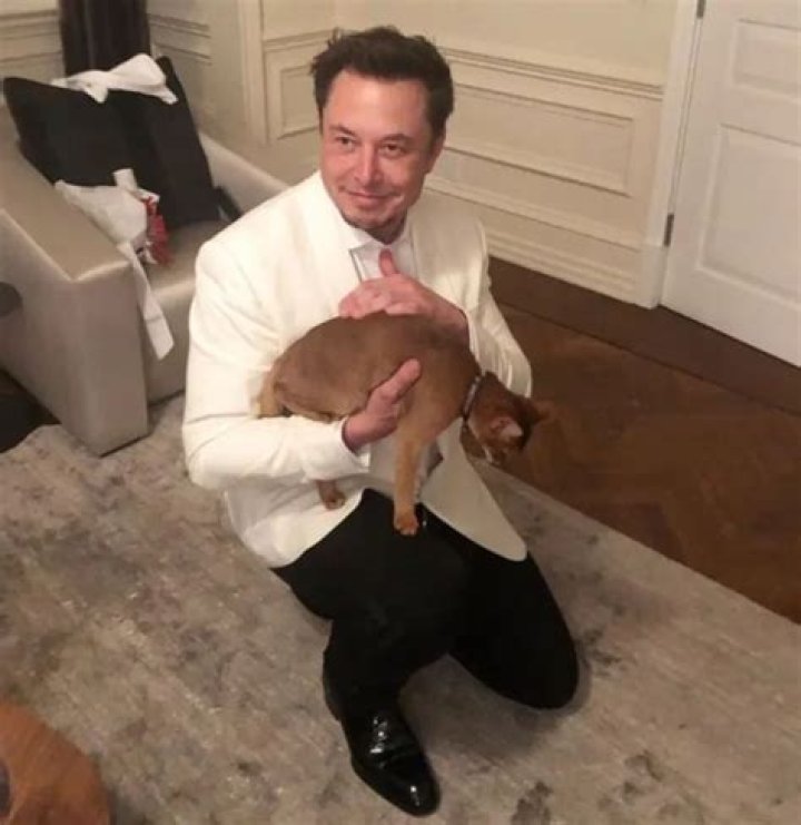 Elon Musk Pets - Celebrity Pets