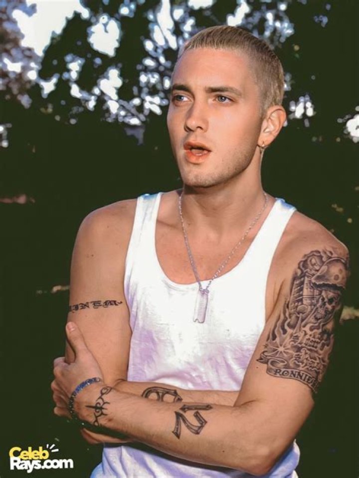 Eminem Bio (Wiki) 