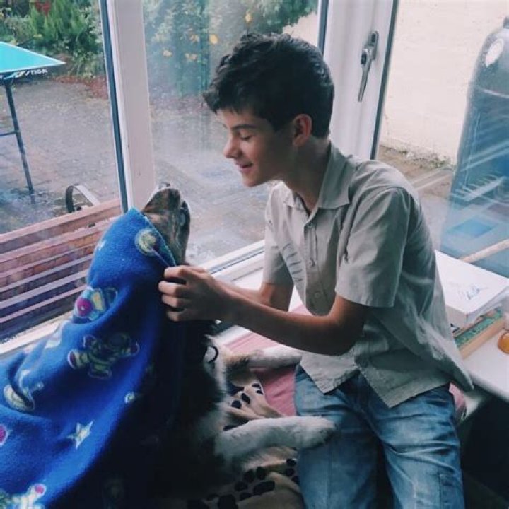 Ferdia Shaw Bio (Wiki) 