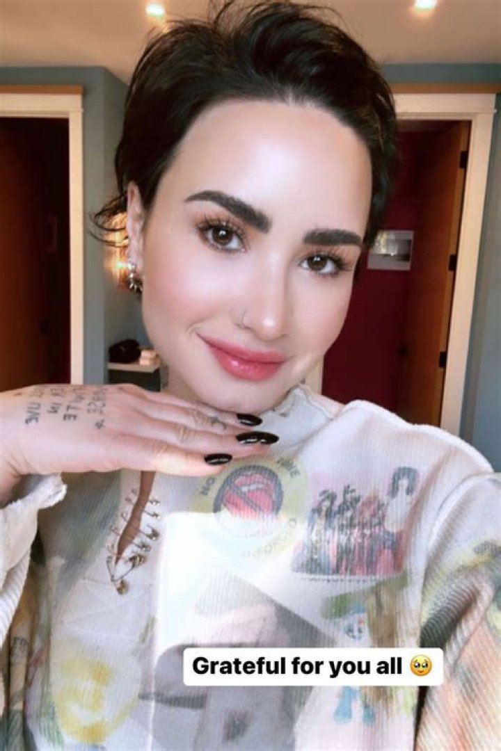 Five Reasons You Should be a Demi Lovato Instagram Follower