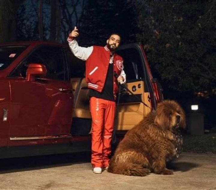 French Montana Pets - Celebrity Pets