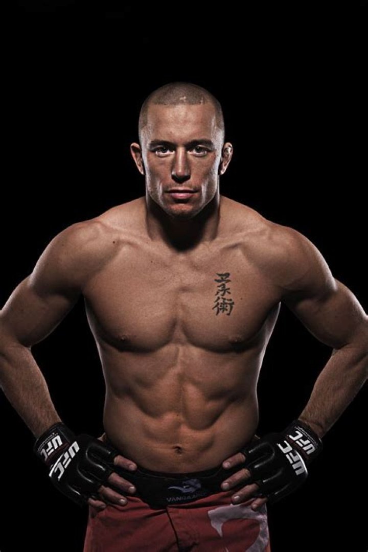 Georges St-Pierre Bio (Wiki) 