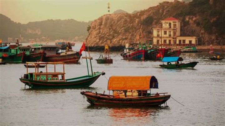 Hanoi Shore Excursions & Cruise Excursions