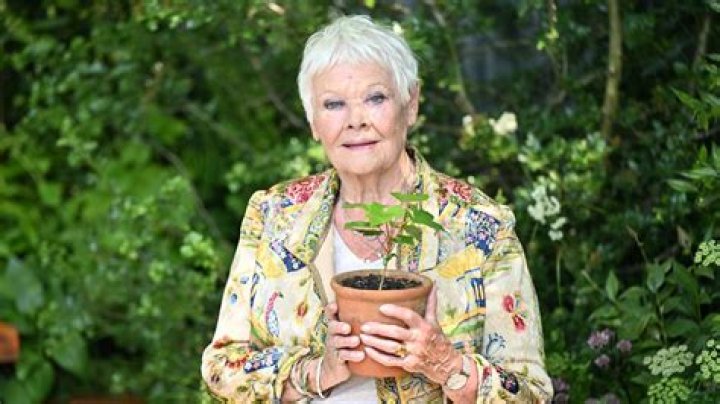 Health update! British actress Judi Dench talks about her deteriorating eye-sight!