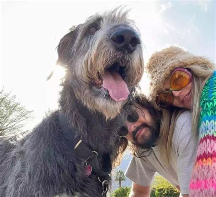 Heidi Klum Pets - Celebrity Pets