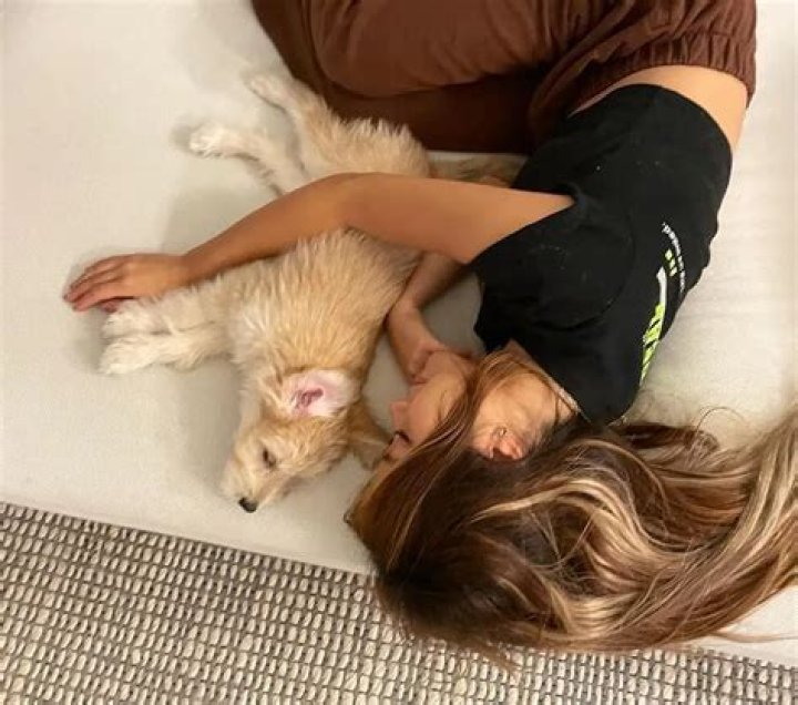 Heyoon Jeong Pets - Celebrity Pets