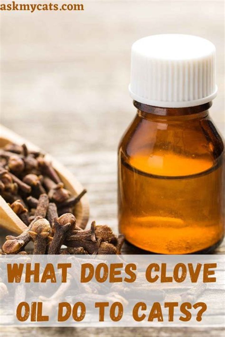 Is clove oil safe for cats?