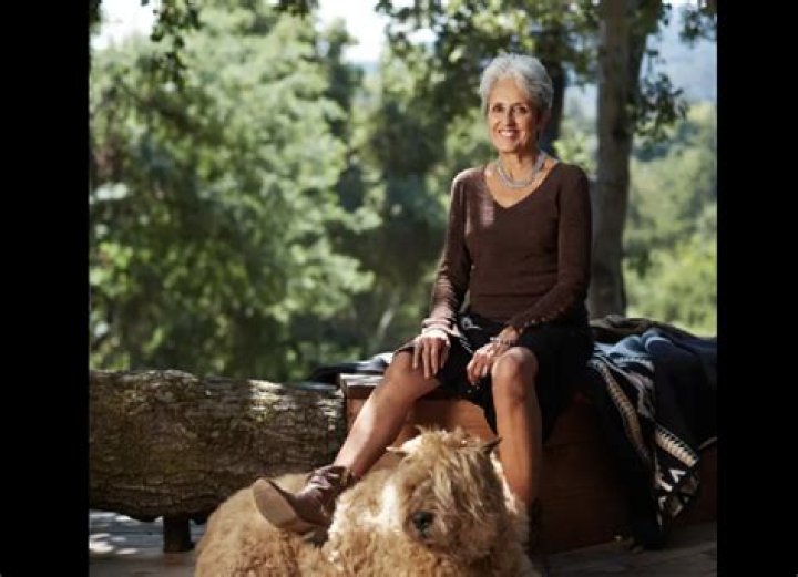 Is Joan Baez Gay? Partner Sexuality And Family Background