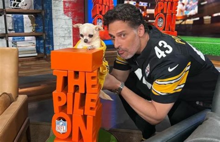 Joe Manganiello Pets - Celebrity Pets