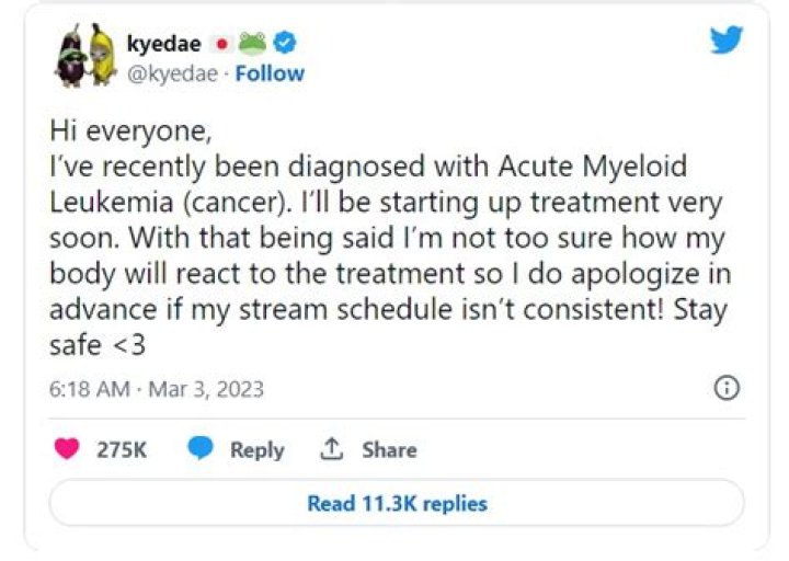 Kyedae Leukaemia Treatment And Cancer Update – Health Age And Wikipedia Bio