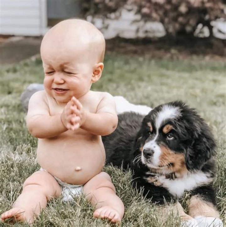 Little People, Big World Stars Zach and Tori Roloff Adopt Adorable Puppy