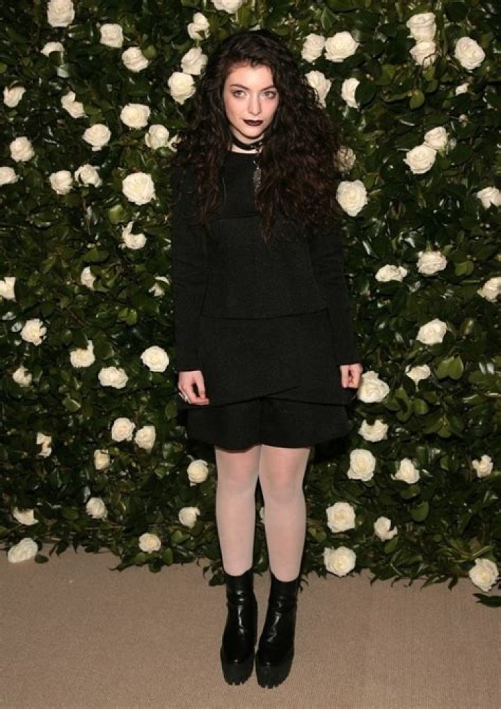 Lorde: ‘I’m a hugely sex-positive person & I have nothing against anyone getting naked’