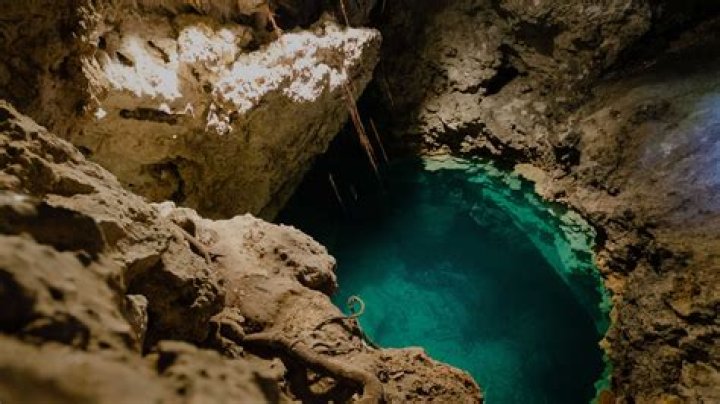 Loyalty Island Shore Excursions & Cruise Excursions