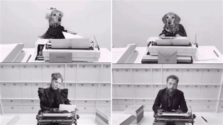 Lucas the Dog Posts a Perfect Recreation of Taylor Swift and Post Malone’s New Music Video ‘Fortnight’