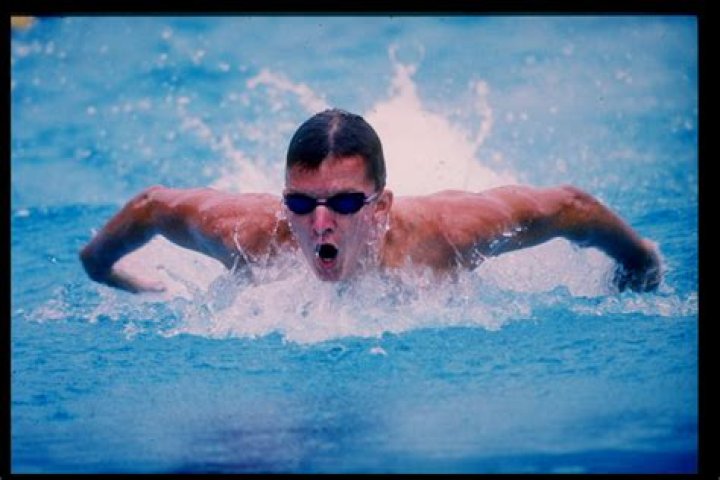 Michael Gross Net Worth - Wiki, Age, Weight and Height, Relationships, Family, and More