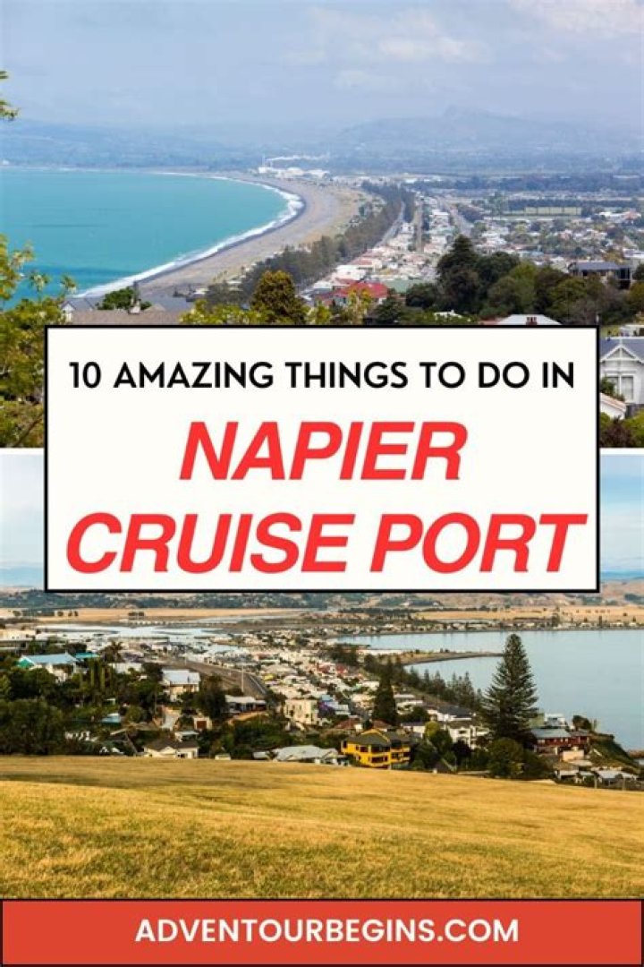 Napier Cruise: Best Cruises to Napier