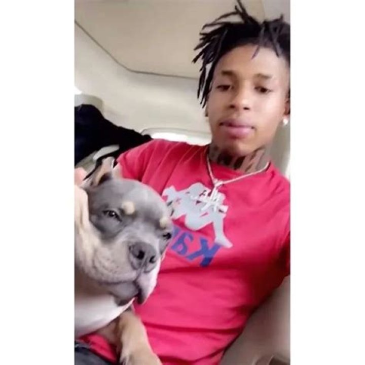 NLE Choppa Pets - Celebrity Pets