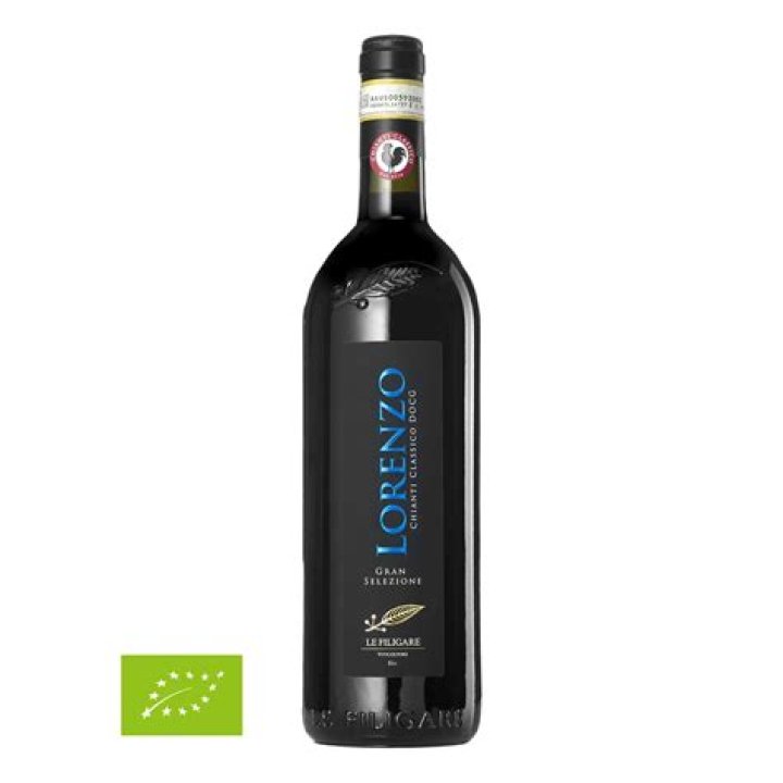 Paige Lorenzo Bio (Wiki) 