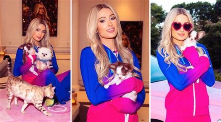 Paris Hilton Shows Off New Chihuahua Puppy, Asks Fans To Help Her Name It [UPDATE: The Name is Prince Tokyo Gizmo Hilton]