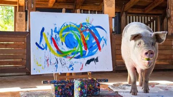Pigcasso, the Famous Pig Painter Who Raised Over $1 Million, Has Passed Away