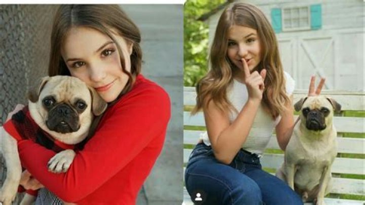 Piper Rockelle Pets - Celebrity Pets