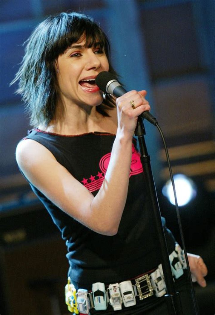 PJ Harvey Net Worth - Wiki, Age, Weight and Height, Relationships, Family, and More