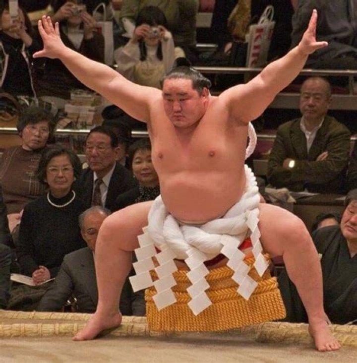 Richest Sumo Wrestlers of all time