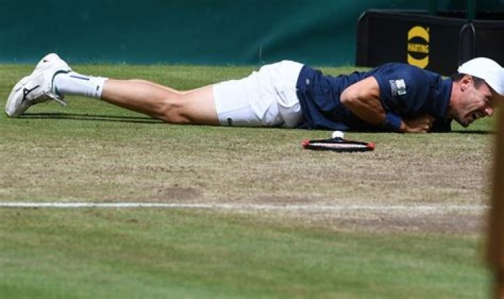 Roberto Bautista Agut Net Worth - Wiki, Age, Weight and Height, Relationships, Family, and More