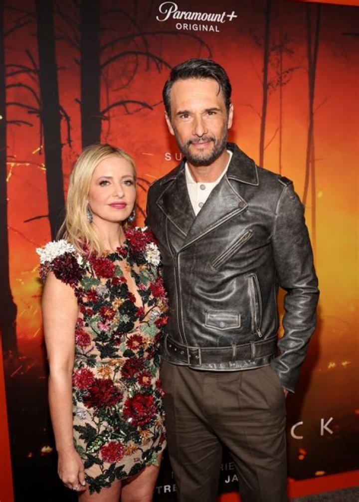 Rodrigo Santoro Net Worth - Wiki, Age, Weight and Height, Relationships, Family, and More