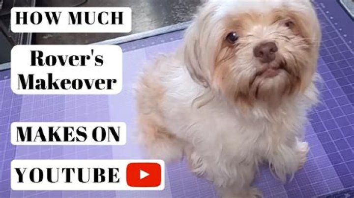 Rover's Makeover Dog Grooming net worth, income and estimated earnings of Youtuber channel