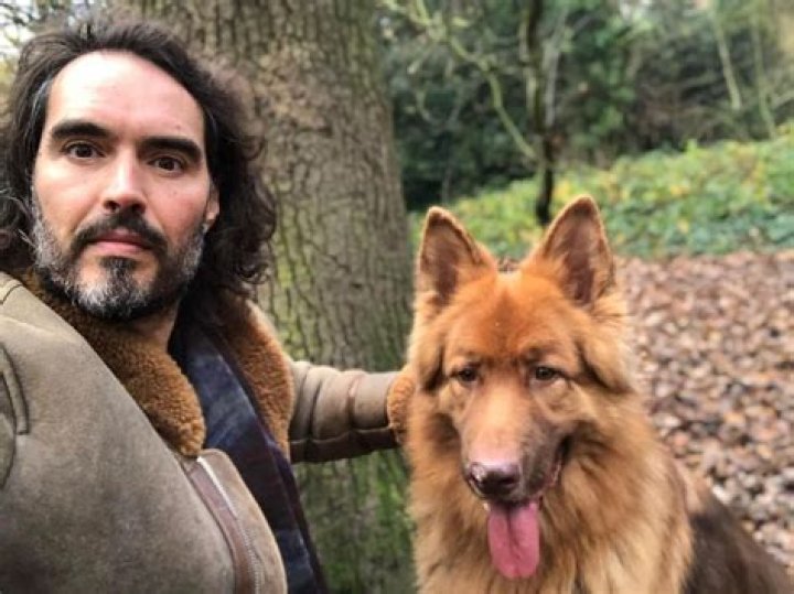 Russell Brand Pets - Celebrity Pets